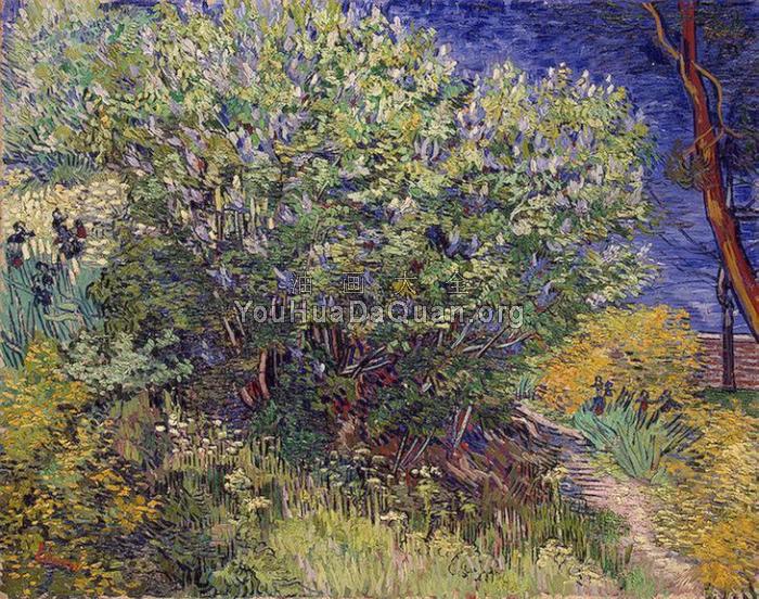 紫丁香 - 文森特·威廉·梵高